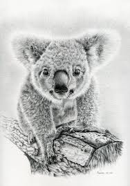 .pencil drawings baby pictures, high definition pencil drawings baby photos, high definition pencil drawings baby imge, high definition pencil drawings baby pics baby and child portraits. Koala Bear Baby Pencil Drawing Art Print A4 A3 Sizes Artwork By Uk Artist Kunstdrucke Com Antiquitaten Kunst