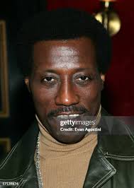 272 Evan Wesley Photos & High Res Pictures