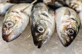 If you make a good water/ice slurry fully covering the fish they will get cold and stiff real fast. How To To Keep Fish Fresh In The Refrigerator George Hughes Fishmongers