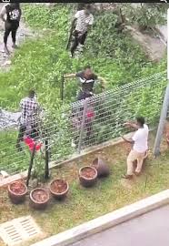 2 rumah tradisional sulawesi utara. Mabuk Bawa Bala