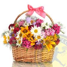 We did not find results for: Fiori Per Compleanno