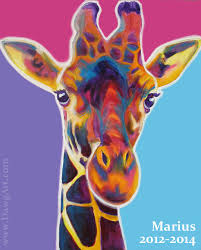 Manufacture colorful giraffe diamond painting kit 7141228. Colorful Giraffe Paintings