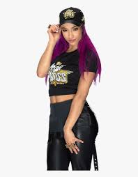 Download free sasha banks png with transparent background. Sasha Banks The Legit Boss Lunch Box Png Download Sasha Banks Legit Boss Transparent Png Transparent Png Image Pngitem