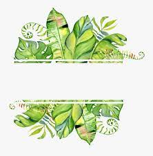 They re accustomed to online on cell phones to consider image information for being a concept. Pintado A Mano De Png De Hoja Png Transparente Watercolor Tropical Leaves Border Png Download Transparent Png Image Pngitem