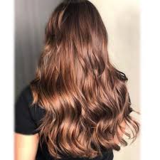 Global Hair Colour Best Brands In India Benefits Side