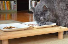 When Your Cat Feels Good On The Inside It Shows On The Outside In How She Interacts Everyday See How Purina One Help Cat Feeding Station Cat Diy Cat Feeding