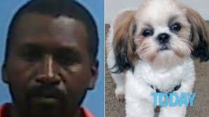 Per il primo anno le cose vanno abbastanza bene. La Moglie Lo Trascura E Lui Fa Sesso Con Il Cane Per Vendicarsi