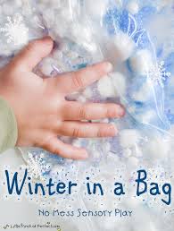 No Mess Sensory Play Winter In A Bag Winter Activities For Kids Winter Crafts For Toddlers Winter Crafts For Kids