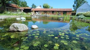 Biotop Natural Pools Garden Ponds Nature Pools Natural Pool Natural Swimming Ponds Swimming Pond