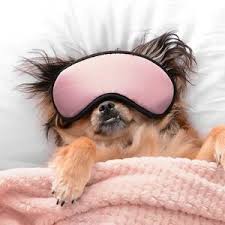 Nextdoor is the neighborhood hub for trusted connections and the exchange of helpful information, goods, and services. Bark Atl Boarding Daycare Grooming Atlanta Georgia