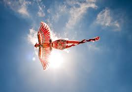 The phoenix is a mythical bird, one that is supposedly immortal through repeated resurrection. Phoenix Bird Really Exist