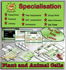 Maybe you would like to learn more about one of these? Palisade Cell Definition Ks3