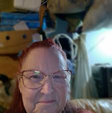 Quasar needs a forever home for Christmas