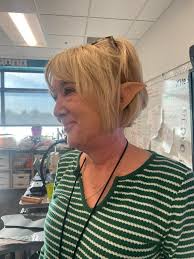 Santa, Elves and Reindeer!