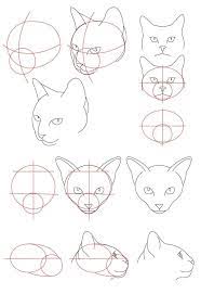 1001 exemples et tutoriels comment dessiner un chat dessin tete de coloriage colibri kindee