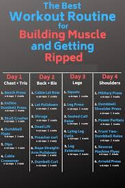 Best Workout Routine For Building Muscle Bodybuilding Fitness Diet Workout In 2020 Workout Splits Best Workout Routine Bodybuilding Workouts Routines