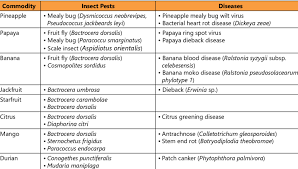 Researchers have also looked into its potential immune benefits and its ability to reduce healing time. Major Insect Pests And Disease Of Fruits In Malaysia Download Scientific Diagram