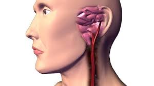 There is an oral way to prevent your hae attacks. Steer Clear Of These 9 Artery And Vein Diseases Everyday Health