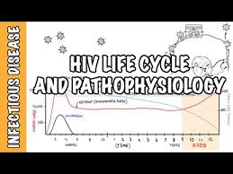 Image result for HIV Pathophysiology