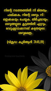 Pin By Al Ilmunnafie On വ ശ ദ ധ ഖ ർആന ൽ ന ന ന Quran Quotes Verses Quran Quotes Islamic Quotes