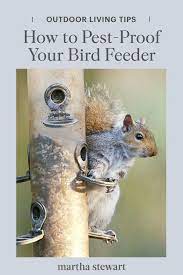 Pin On Gardening Tips And Ideas