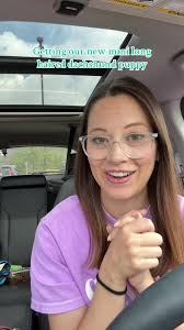 Shoppung for A Dachshunds Lone Haired Puppy