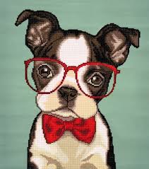 Diamond Art Club 16" x 19" Hispter Boston Terrier Diamond Painting Kit