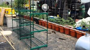 9 diy indoor greenhouses you can easily make. New Shelving In The Greenhouse Youtube