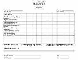 5 Nursing Audit Form Pdf