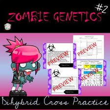 This law states that alleles are transmitted to offspring independently. Zombie Genetics 2 Is Here What A Fun Way To Have Students Practice Dihybrid Crosses Product Incl Dihybrid Cross Dihybrid Cross Activity Classroom Activities
