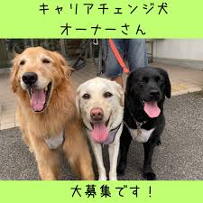 キャリアチェンジ犬オーナー募集！ - 公益財団法人 東日本盲導犬協会