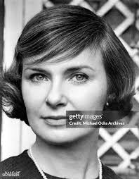 146 Mildred Dr Photos & High Res Pictures