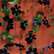 Peinture mur exterieur couleur brique. Bien Choisir Une Peinture D Exterieur Cote Maison