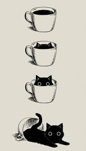 46 Ideas Funny Cute Illustration Cat Art Black Cat Art Cat Art Cats Illustration