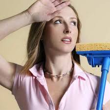 Welcome to Clean Bees