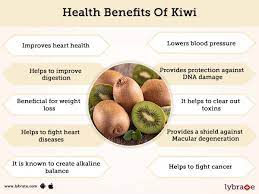 Kiwi Benefits Its Side Effects And Dosage Lybrate