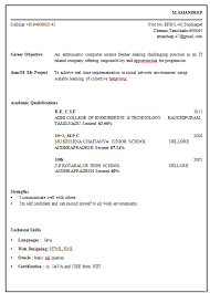 25 Beautiful Professional Resume Format For Freshers Best Resume Examples