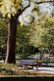 Botanischer volkspark pankow 83 km. Botanischer Garten Frankfurt Die Kleine Schwester Des Palmengartens Rhein Main Blog