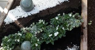 Pin Von Andrea Auf Friedhof Gartengestaltung Ideen Friedhofs Blumen Grabgestaltung