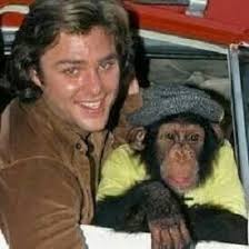 Bj And The Bear Cast Bi And The Bear With Greg Evigan Old Tv Shows My Childhood Memories Favorite Tv Shows