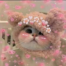 Cute pastel aesthetic