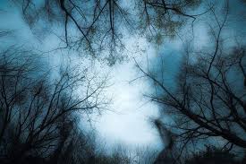 病相 有由四大不調引起的 也有由罪業所引起的 由四大不調所引起的有四百零四種病 由罪業所起的 病人在精神上受苦 是惡業即將成熟 快要受報的前相 有些因為神識紊亂 會出各種惡夢 有的夢見惡 鬼 有的夢見過去已故的親屬 或者遊盪在懸崖邊 海岸邊等危險的道