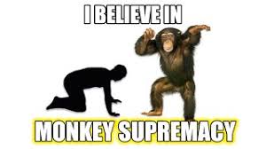 Pictures without captions may be removed by a moderators discretion. Monkey Supremacy Neverthink