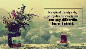 Sair Es Anlamlisi Nedir