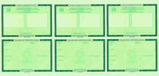 Rg Nosso Registro Geral Distribuido E Desorganizado Carteira De Identidade Projeto Identidade Educacao Infantil Identidade E Autonomia