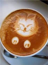 Cappuccino Amore Mio Cat Coffee Art Coffee Art Cat Coffee