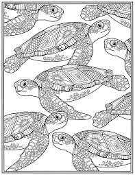 Pin On Children S Picture Books And Crafts
