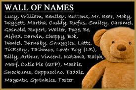 Pin On 2nd Annual Mv Teddy Bear Suite