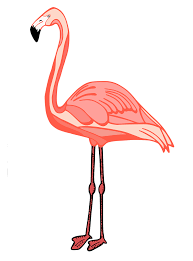 A ong luz de sophia assiste crianças e adolescentes com sindromes raras e deficiência de diversas cidades. Flamingo Bird Flamingos Free Image On Pixabay