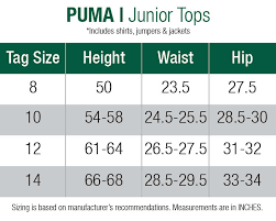Puma Junior 1 2 Zip Wind Jacket Puma Black